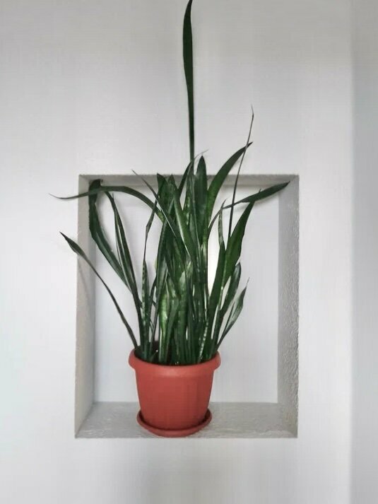 Гостиница Руна Петрозаводск-15