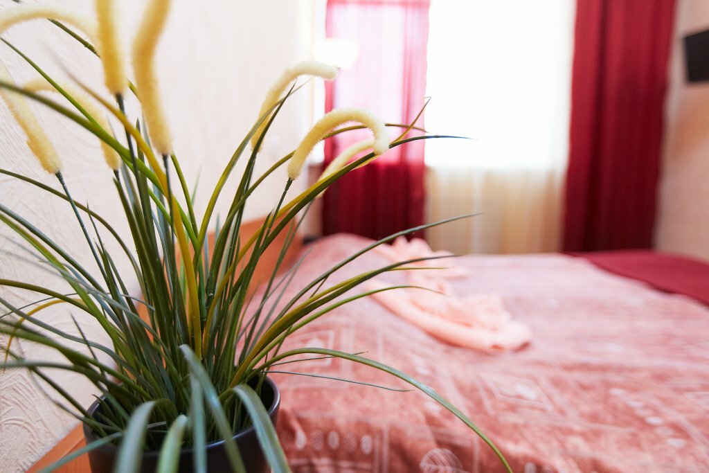 Гостиница Руна Петрозаводск-10