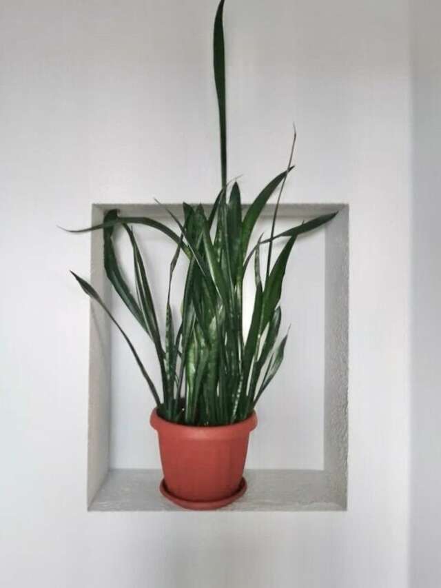 Гостиница Руна Петрозаводск-14